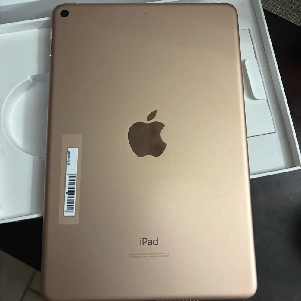 Apple iPad Mini 5th Gen